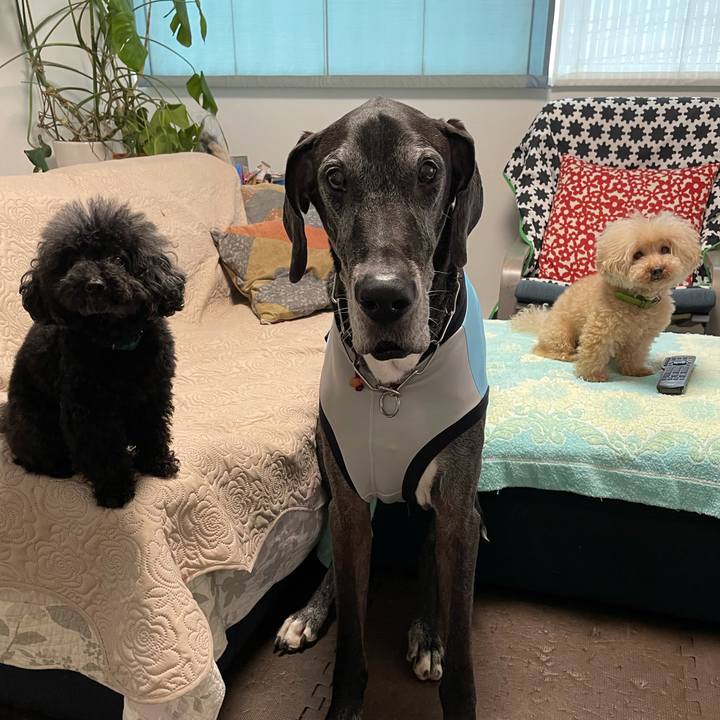 765e3552 30e5 4282 b762 f94355411cb4 1626215208892