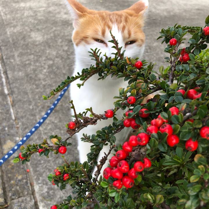 765ea3f0 de1a 404c 91c3 baff0fc8b52a 1539411355153