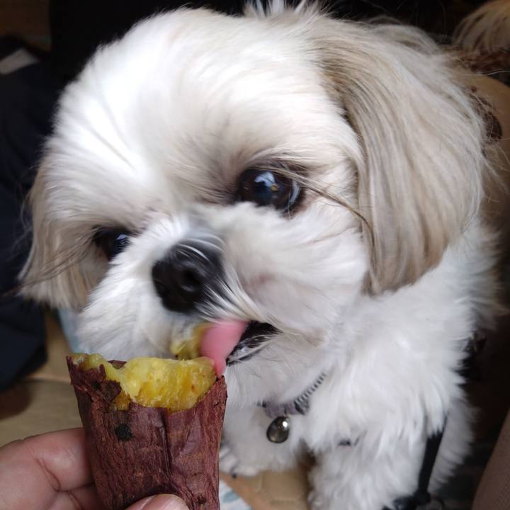 765eaa47 4758 40be 9088 755fb4bc44b3 1736649430745