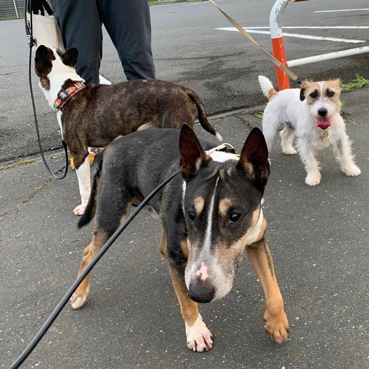 765eb395 b26e 44f7 a3d8 409afa525321 1593948258988