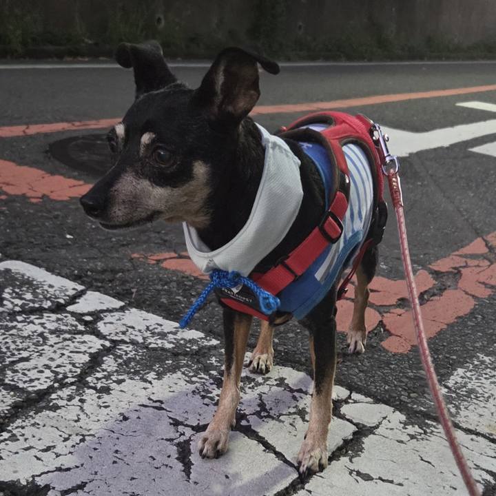 765ecc5b 617c 4122 9418 1d1baeae3ac6 1756759196971