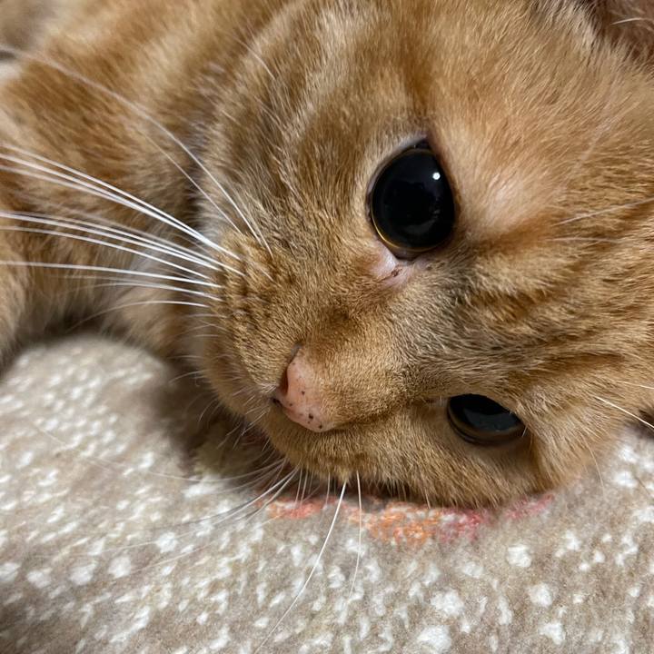 765ee2cc 3bb9 419e 875e 5809cfa200dd 1656680817727