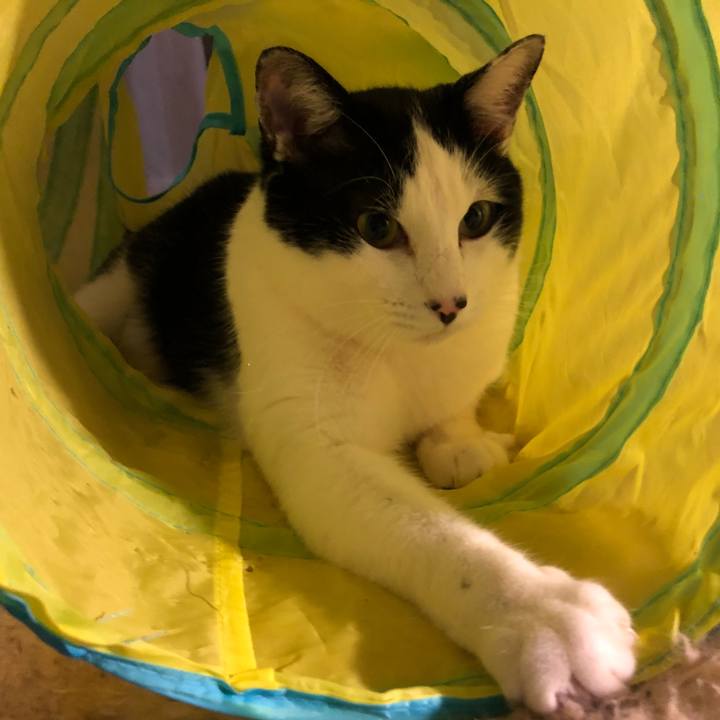 765ee478 49ff 4eff 8f3b 1d62bbe357be 1548080494814