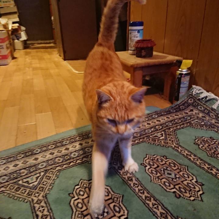 765eef08 c5ae 4b32 8c58 8031fcf3937e 1582621500167