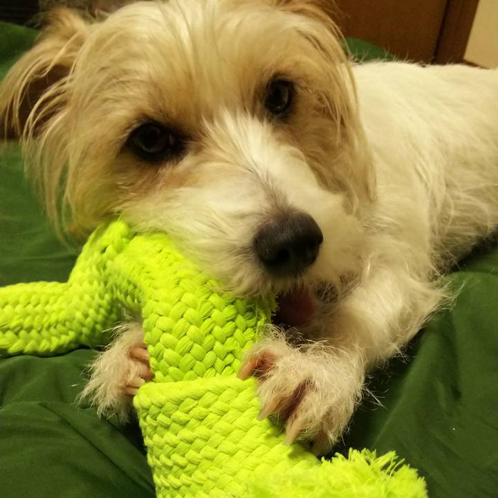 765efff9 690c 4ff2 b072 17e746d065b3 1525818308495