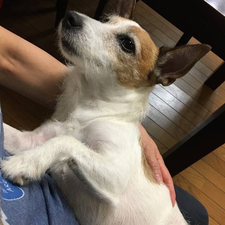 765f4b9b 6031 4218 8e84 1a9935a414b4 1625181883524