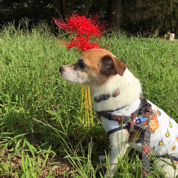 765f4c8b c2d9 4feb b33e 4255a05bad31 1569378644543