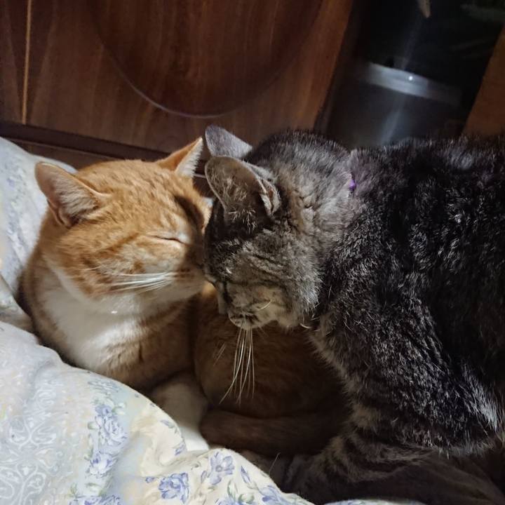 765fa416 3a10 40d1 84e4 394a9bcb88d6 1579693706254