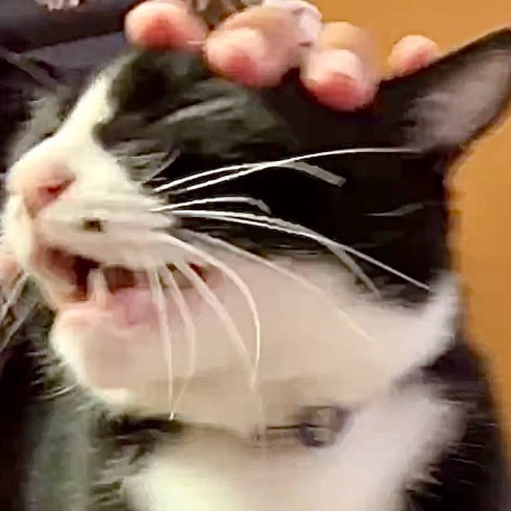 765fab34 b289 4409 9141 e7bf214501da 1729826650327