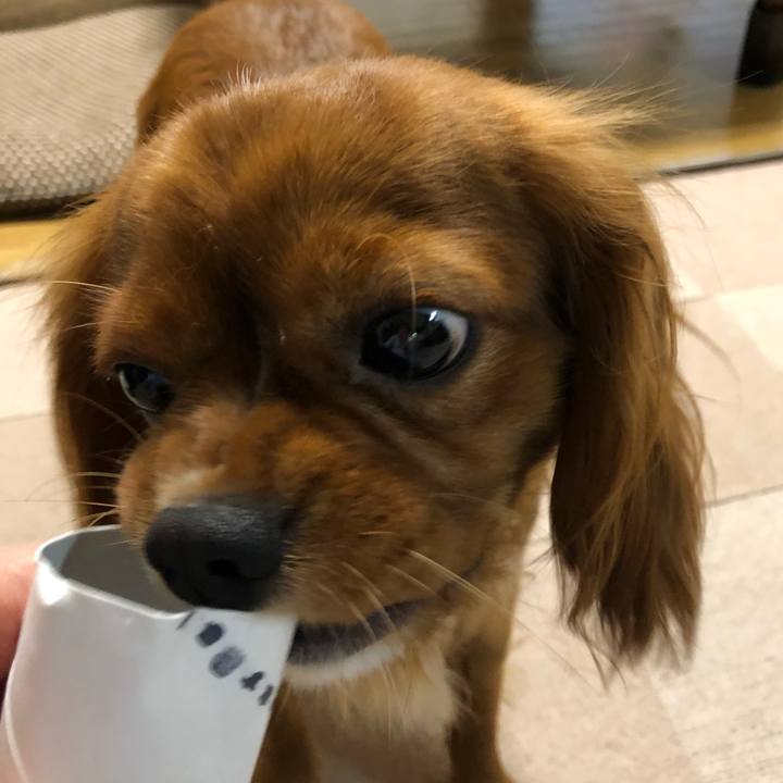 765fd263 ff6b 48ec 82f0 9e47ff6d8f48 1528287632909