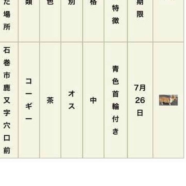 765fd732 5353 4aeb 9cf3 fe5ad6e2e50f 1533129506620