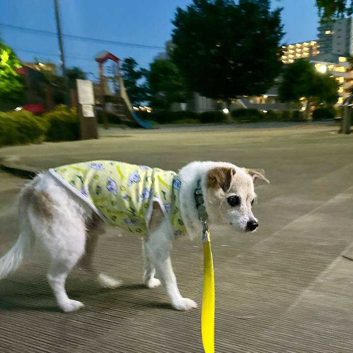 76601b49 5887 495c ab52 2cb6521e96dd 1753096834906