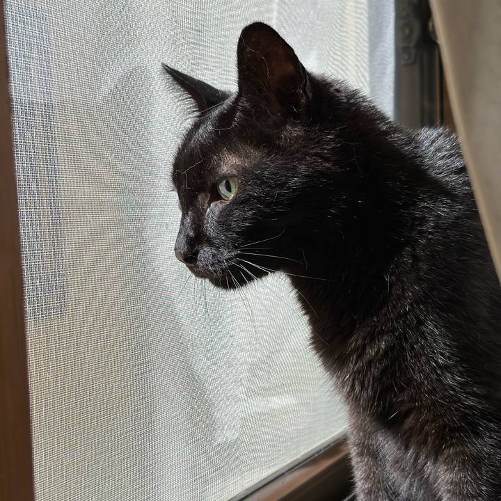 7660321d 2685 4d06 9811 f474222e8eb4 1694047787192