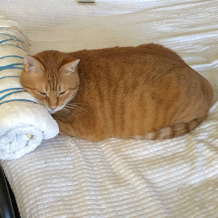 76603665 4205 452a aba7 64ec60cc13bf 1622848357971