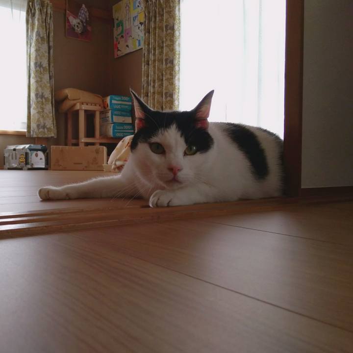 766046c9 a98f 4a72 b829 213d8b992054 1524223727346