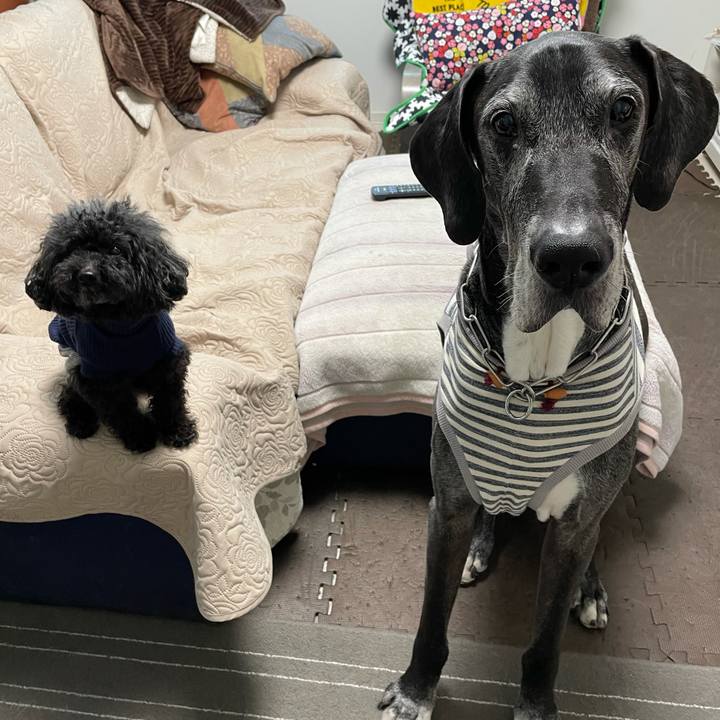 76607911 7dbf 4c66 a33d 3882ede6ca1b 1618354092334