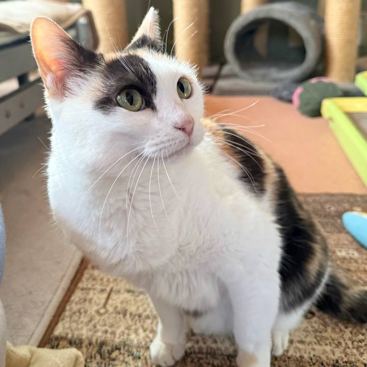 76607fea e413 40f2 b7ed b31247f818f4 1774576356478