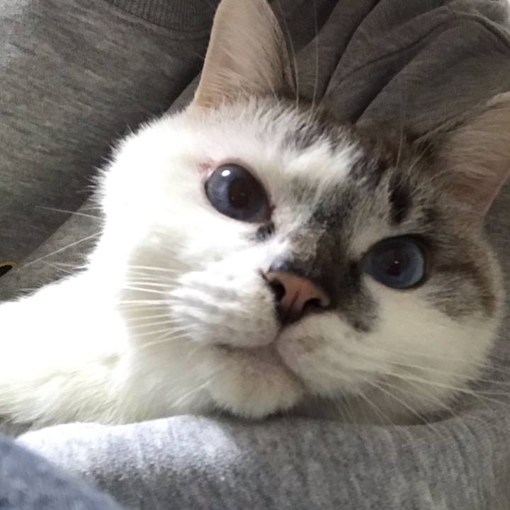 76608610 c738 4fd4 b2e7 3635a2917660 1543914588210