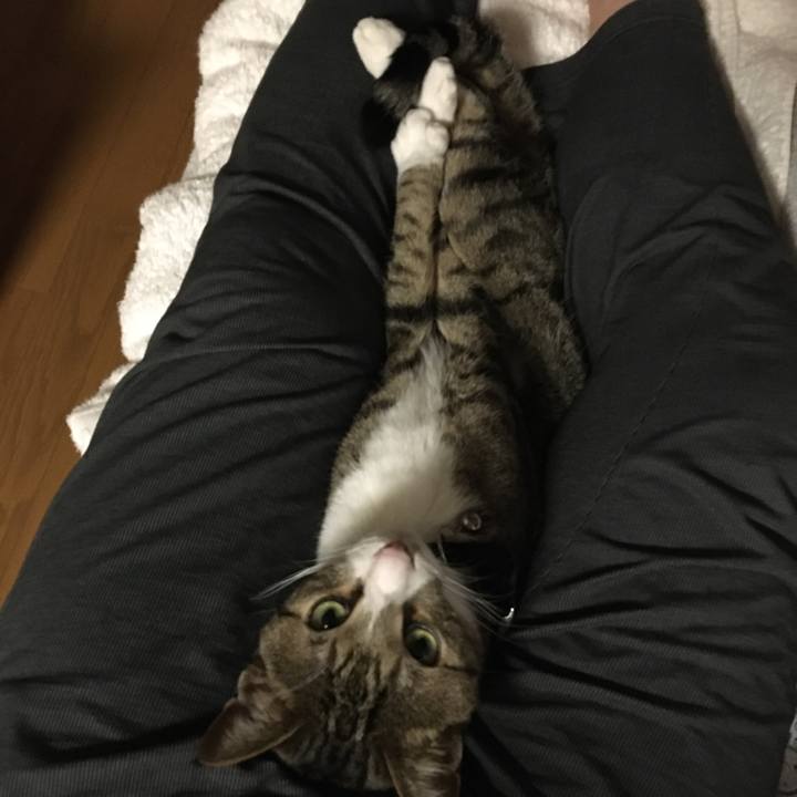 7660b31d 4eb4 47c3 95d0 91df7a91d056 1671969758670