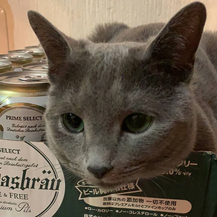 7660cb16 4441 4485 a9ef dda644641254 1584446017848