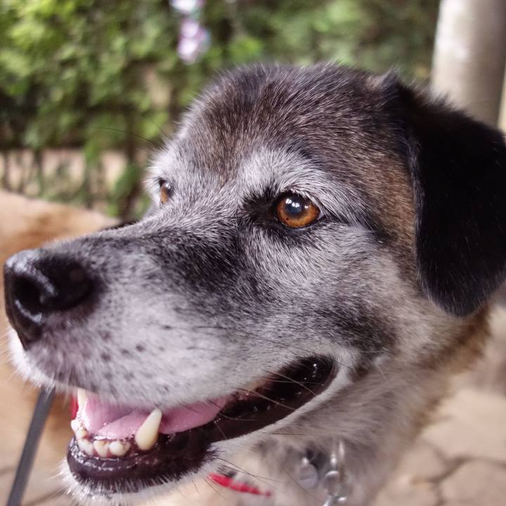 7660ce12 b9ab 4333 a8d9 eb192894442b 1535418104711