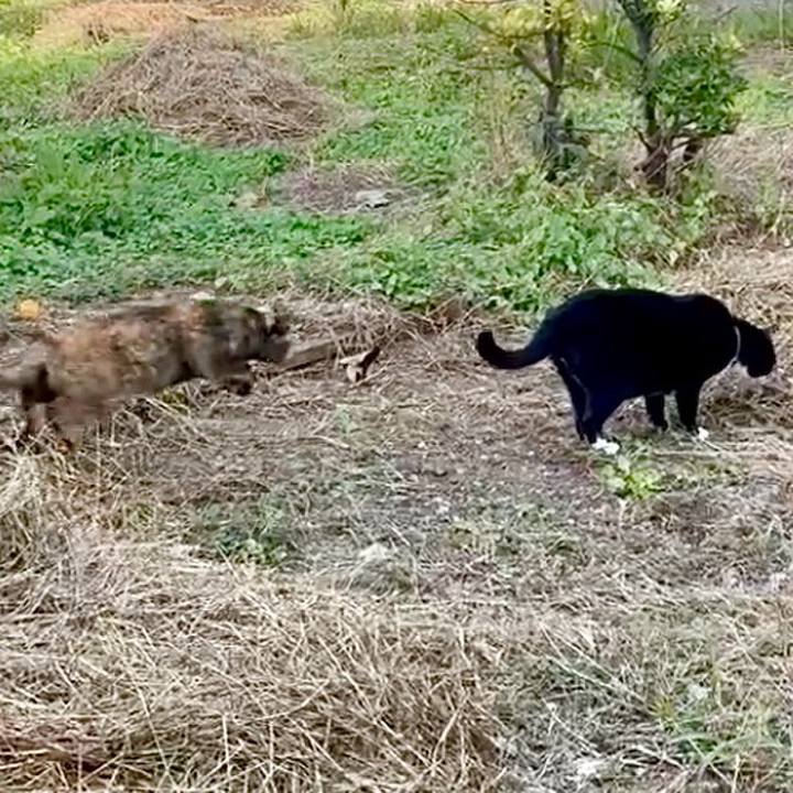 7660e491 18ca 4615 8503 cd0dbe23532c 1762070379179