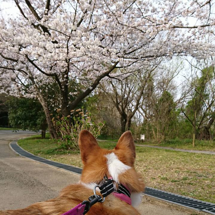 7660e91f a5a7 49ec ab2d 0e77d2dfb66e 1553731072614