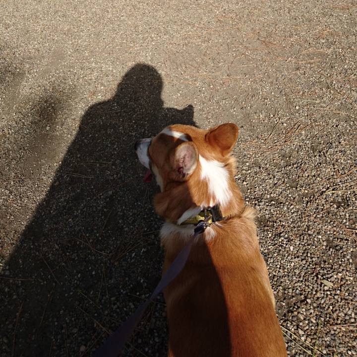 76614431 1063 44c6 89f5 e32569ec88dc 1578120315971