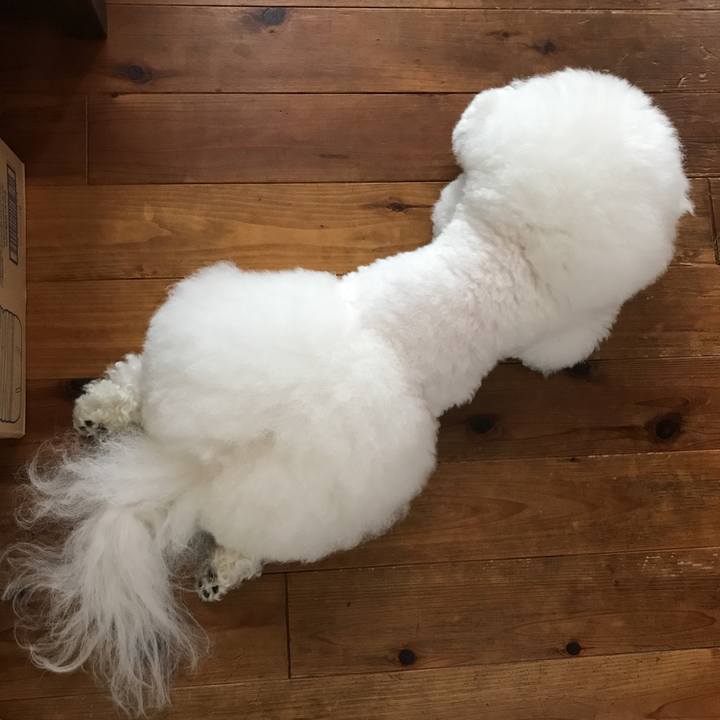 766149f2 52a8 45ed 8b86 620b56422b30 1530238153095