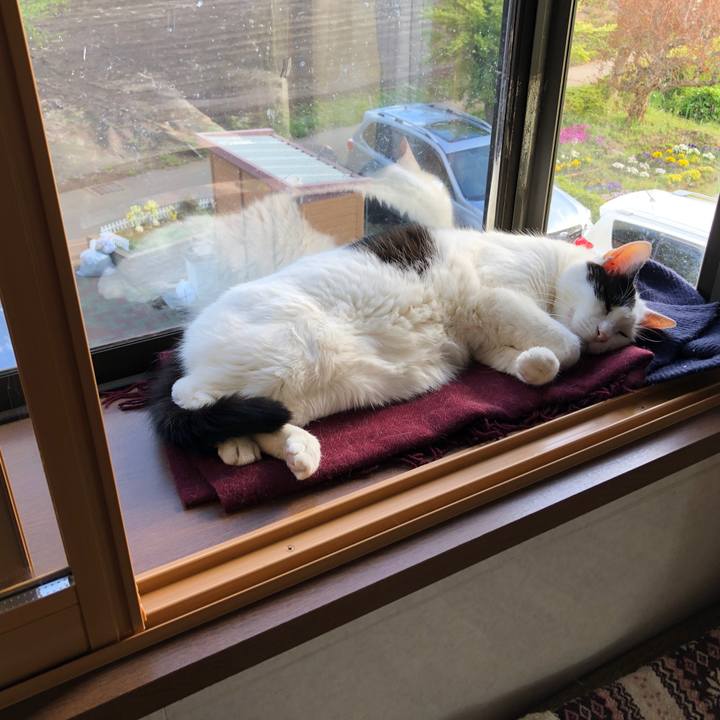 76616367 4775 4821 869c 4c05f3865039 1587276813423