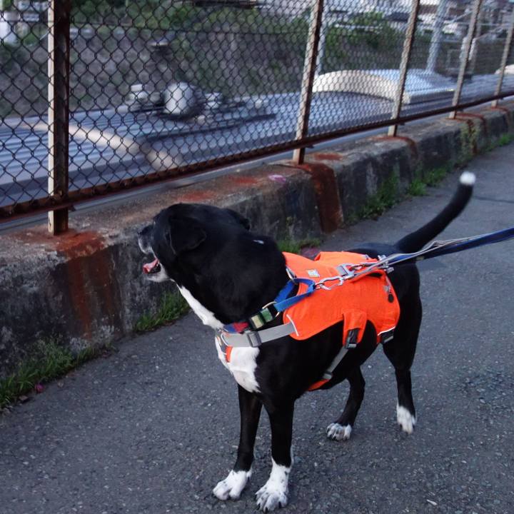 76616caa b0f1 49b4 9514 e3e04a72cbca 1714732380674