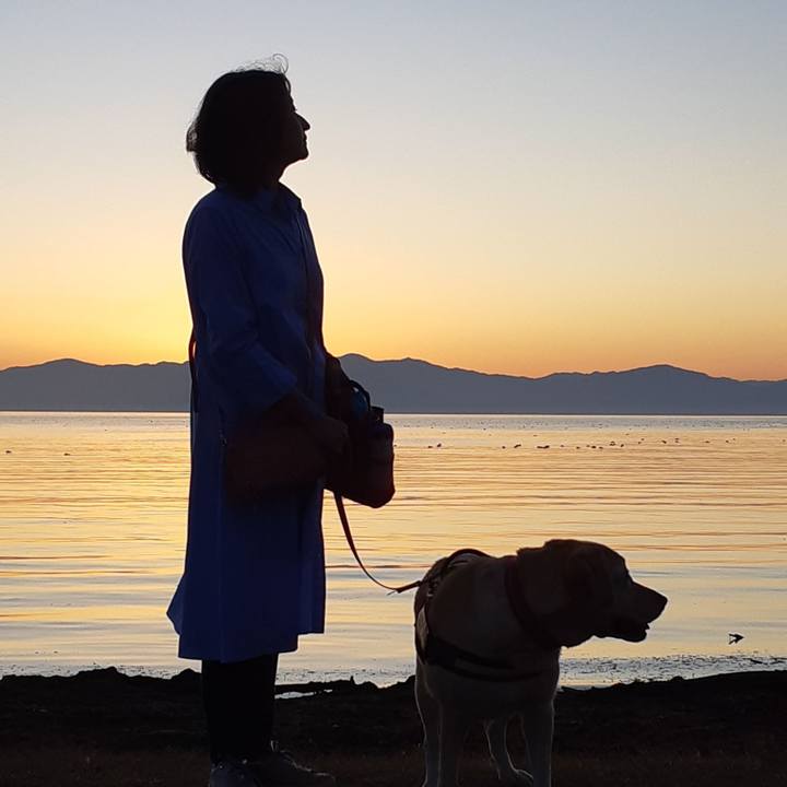 76617133 e94b 4529 8b58 23040f59fc8c 1574590955934