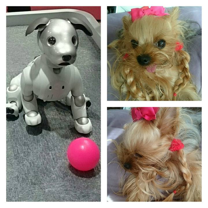 766188bf 3977 4fb8 9249 11296d697dde 1518263512183