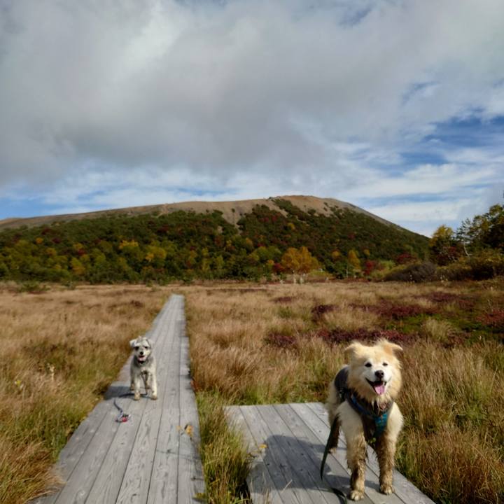 76619e8d 447b 487c 95f6 a233ddf42d92 1759743989775