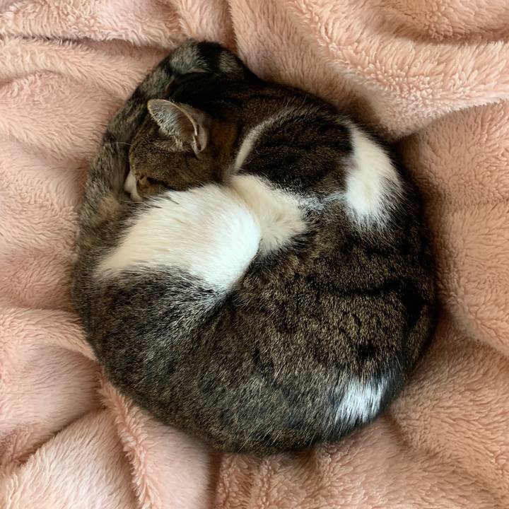 7661a70f 4caa 4509 a4d7 b5e4d0b5d61f 1550538122984