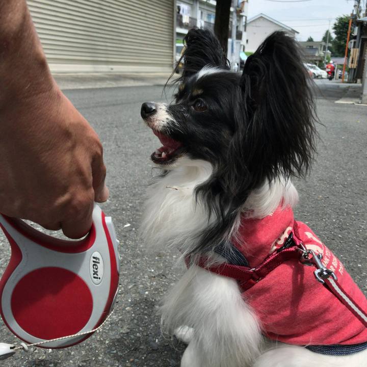 7661f8f1 172a 487e a86f 1fde3453e01b 1526563349774