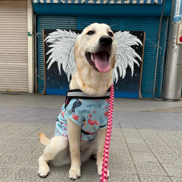 76622989 73ec 43c5 9272 f36fb4361549 1623103157832