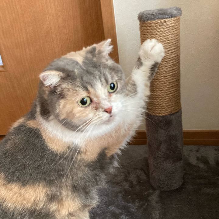 766229f2 eab6 4c74 a2f5 3d3c60acb590 1695347579015