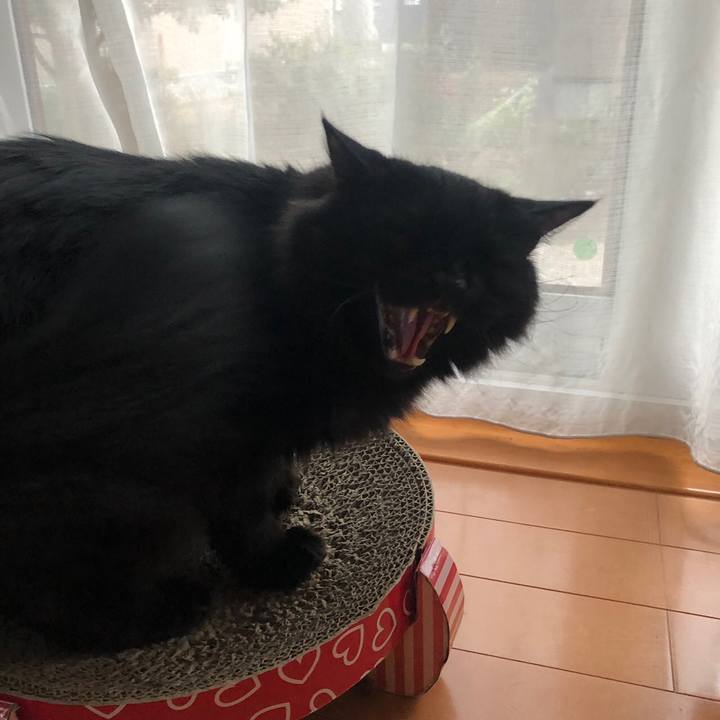 7662469a 7841 4ab2 9867 3b4bb0fd5e57 1562256328904