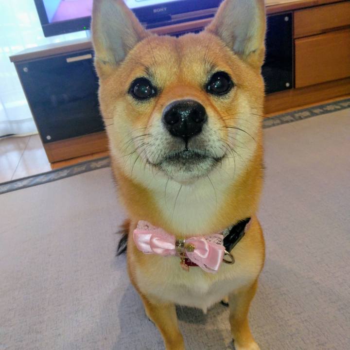 766254bc e128 4d90 ae98 3ea38d775efe 1758966631791