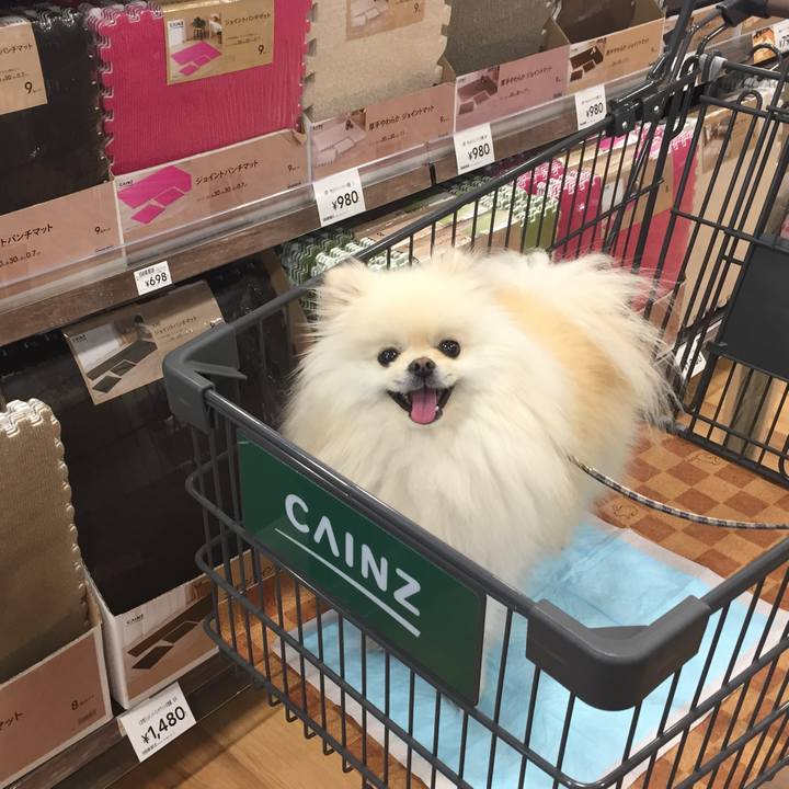 76625716 9201 4c81 8648 9a1e0f6785a3 1553583693815