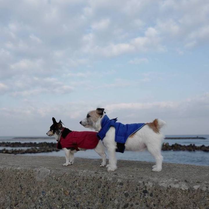 7662bbe2 7d4c 4b38 ba09 ef88d50ab512 1772261616591