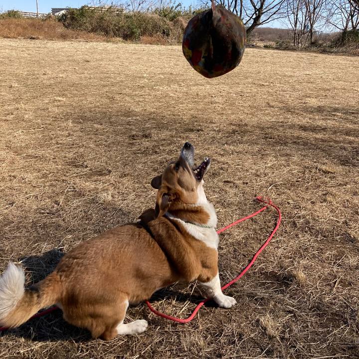 7662cddd 5318 49cd bc53 71d3cfcd81dc 1739926317741