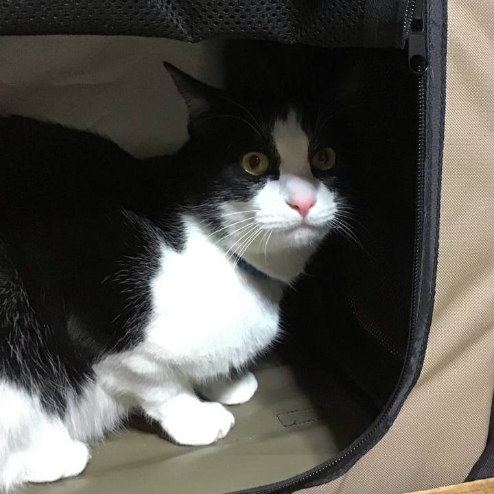 7662d267 2029 4c59 b0ac aec78cf7528a 1677589016436