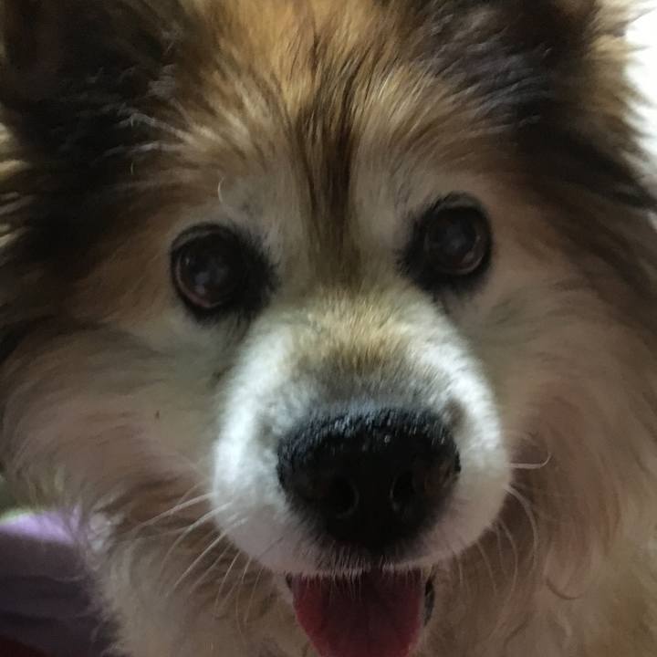 7662fa79 f4a5 481c 900b b40453fe0183 1574167494857