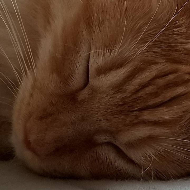 7663054c a3a4 4a52 ae2b bc46b350b5af 1628732757897