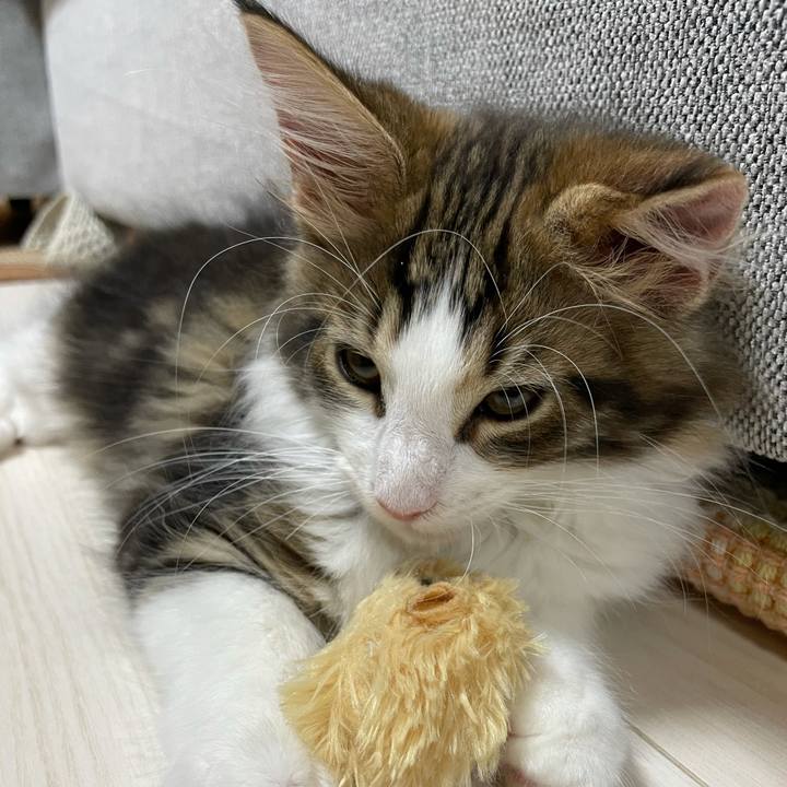 7663632b b9c6 4615 926d 8b43551685e3 1632739562181