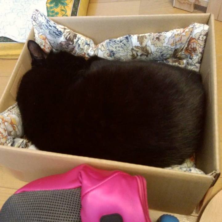 7663b35a 9d2d 4cae 85e7 9ab0fbeebff5 1617859989705