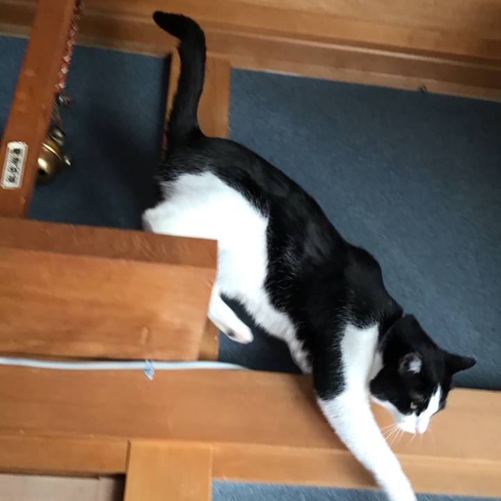 7663b7eb 9d0c 409c 9495 6ce8f402f447 1678165094184