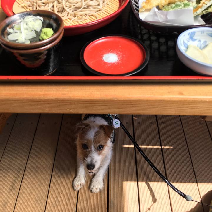 7663b819 07c4 456e 9874 a0b046dd311d 1568636378905